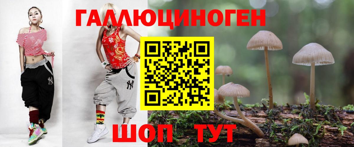 Псилоцибиновые грибы Psilocybe Слободской