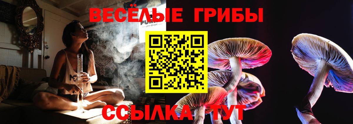 Слободской  закладка  Вход с VPN  Псилоцибиновые грибы GOLDEN TEACHER  Псилоцибиновые грибы MAGIC MUSHROOMS 